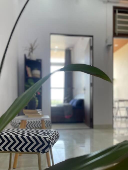 Bark & Bash-Villa-House Jaipur Dış mekan fotoğraf